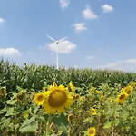Garni Und Zur Krone Πανσιόν